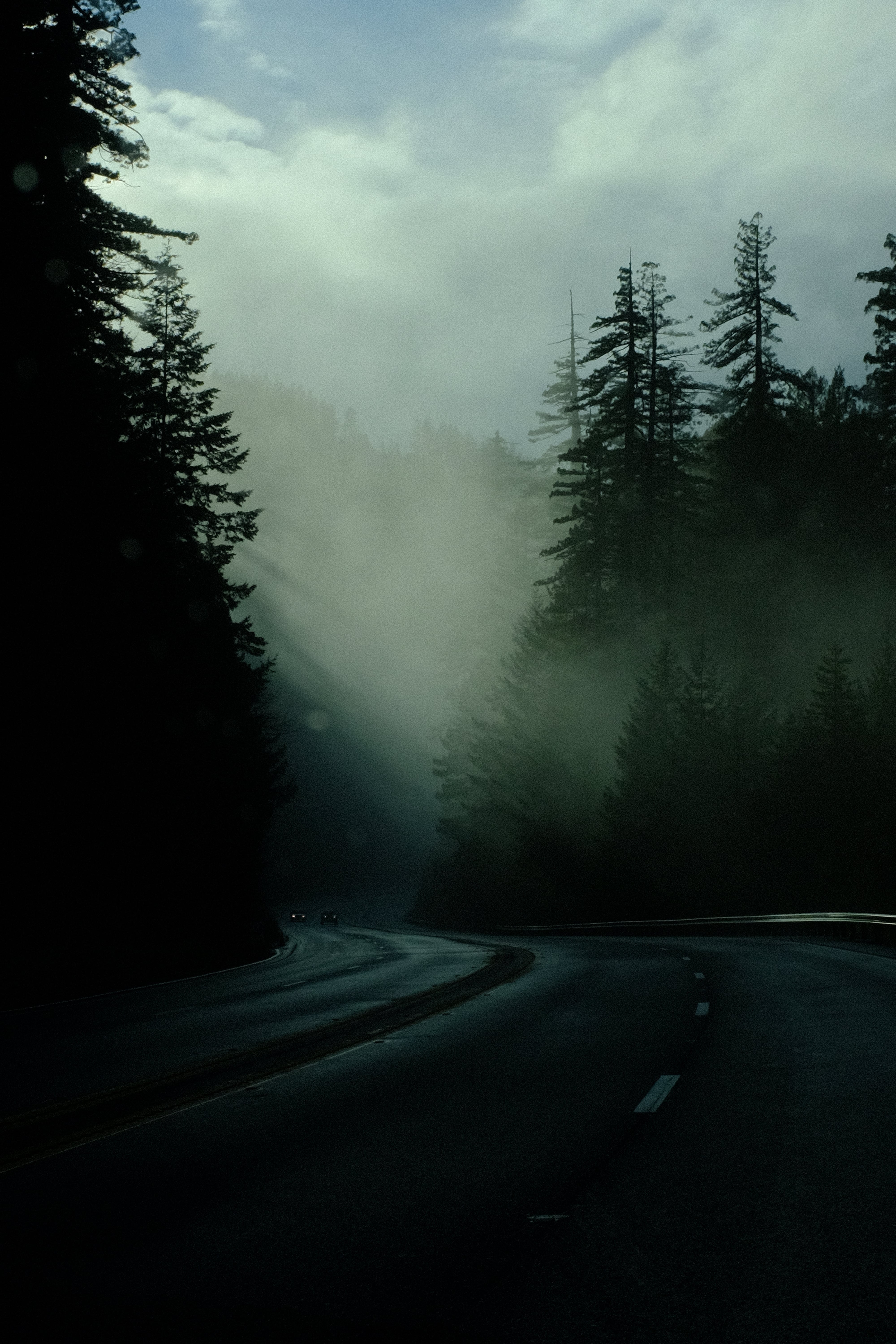 light shining through trees on highway