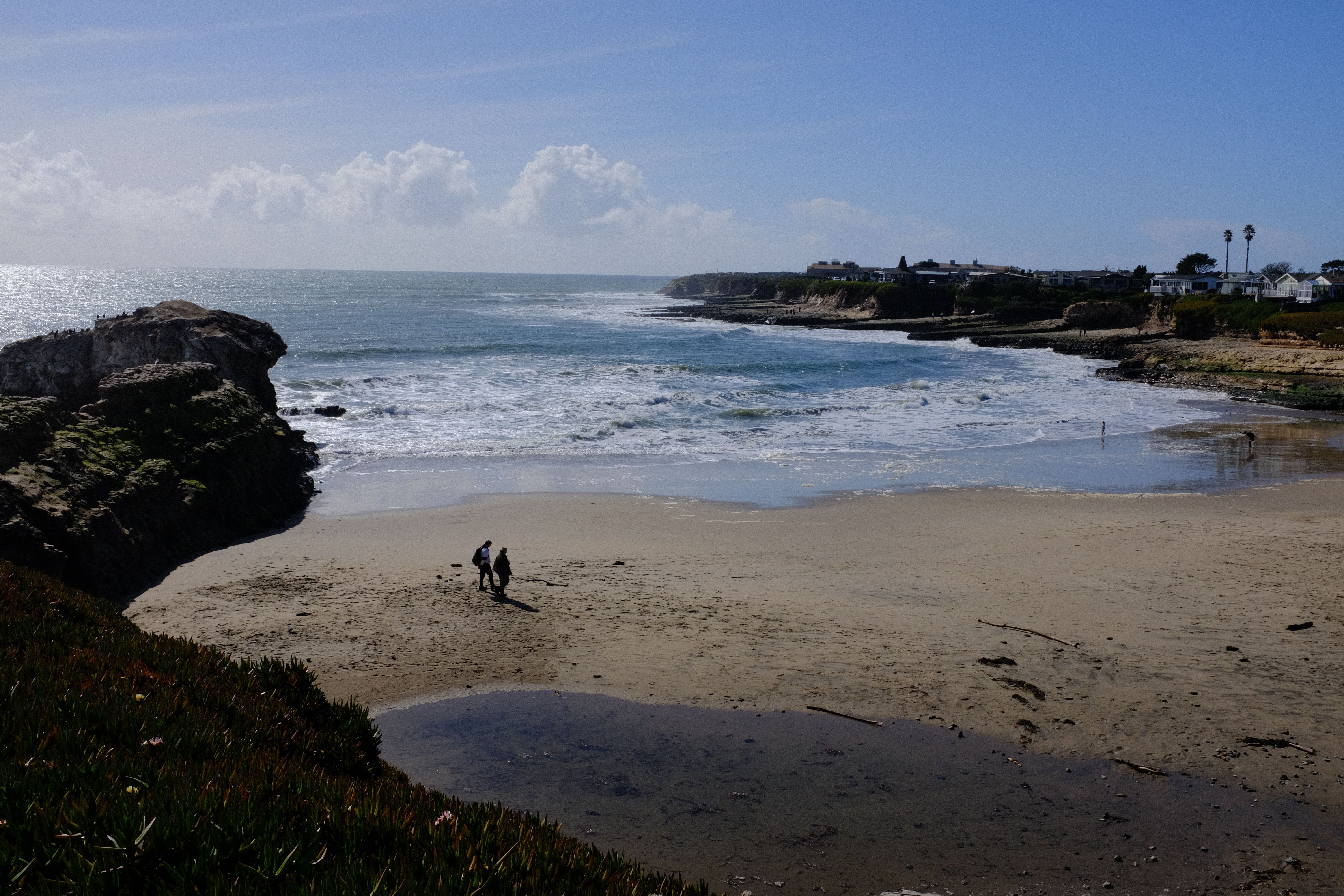 people walking on beach