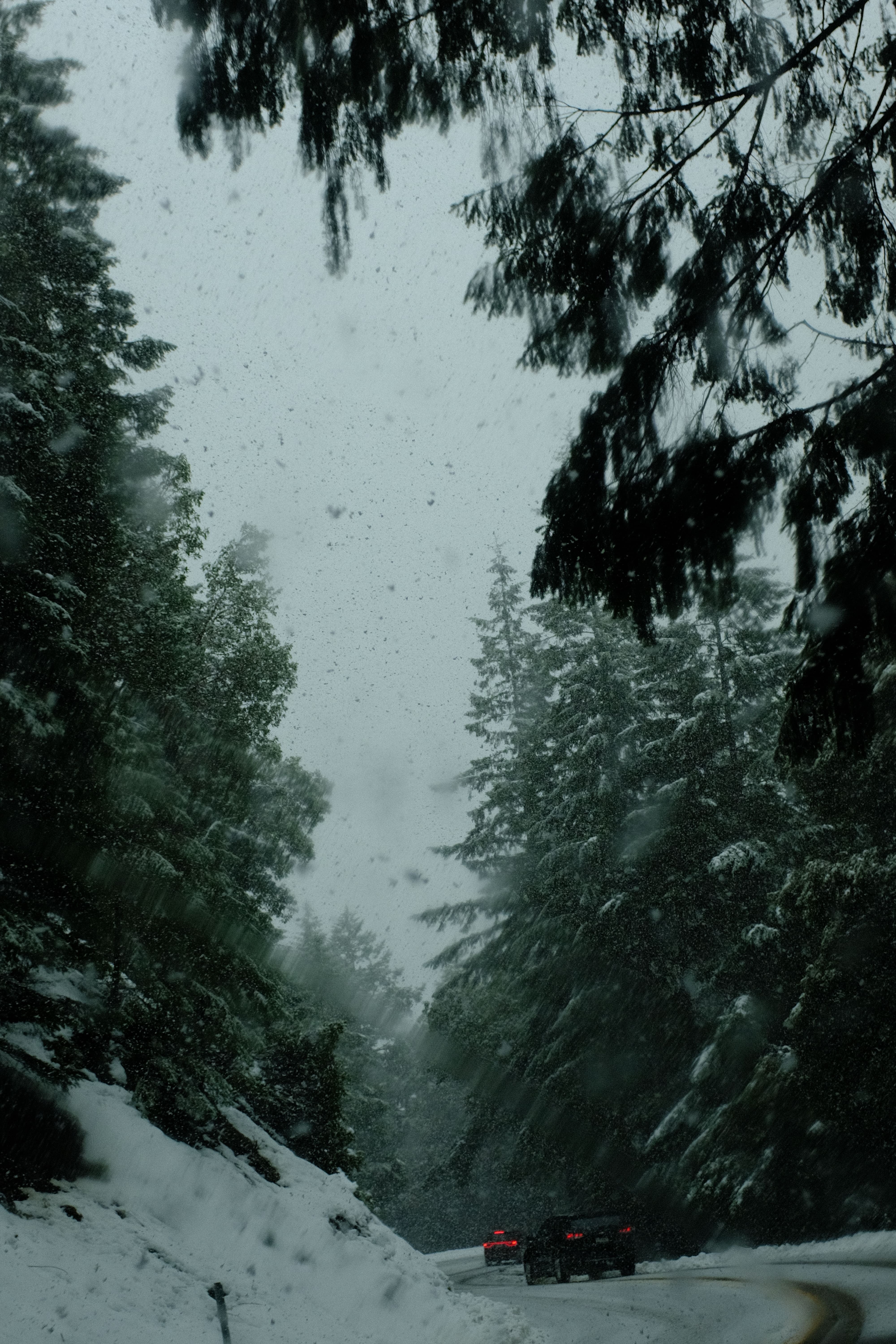 snowy road in mountains